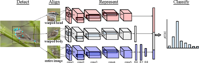 Figure 1 for Bird Species Categorization Using Pose Normalized Deep Convolutional Nets