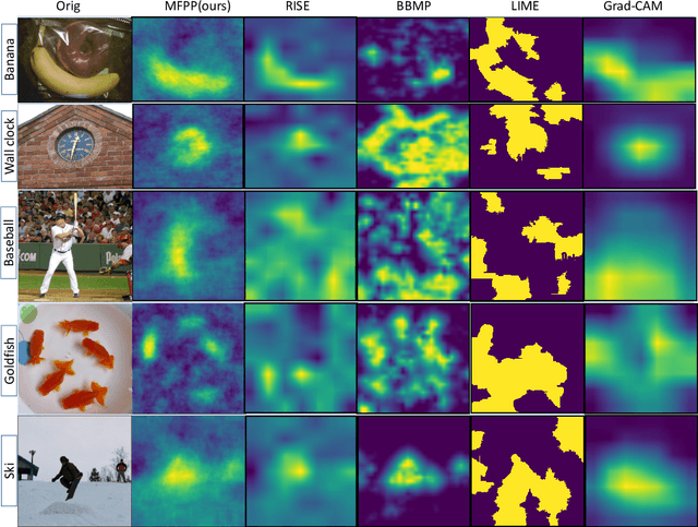 Figure 1 for MFPP: Morphological Fragmental Perturbation Pyramid for Black-Box Model Explanations