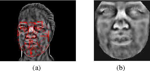 Figure 4 for Vesselness features and the inverse compositional AAM for robust face recognition using thermal IR