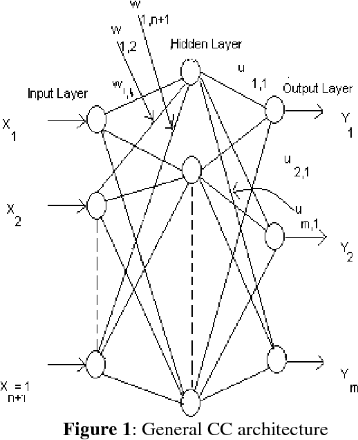 Figure 1 for Learning Based on CC1 and CC4 Neural Networks