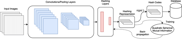 Figure 1 for Deep Supervised Hashing leveraging Quadratic Spherical Mutual Information for Content-based Image Retrieval