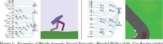 Figure 1 for Weight Agnostic Neural Networks