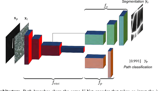 Figure 3 for Joint Segmentation and Path Classification of Curvilinear Structures