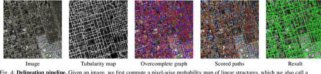 Figure 4 for Joint Segmentation and Path Classification of Curvilinear Structures