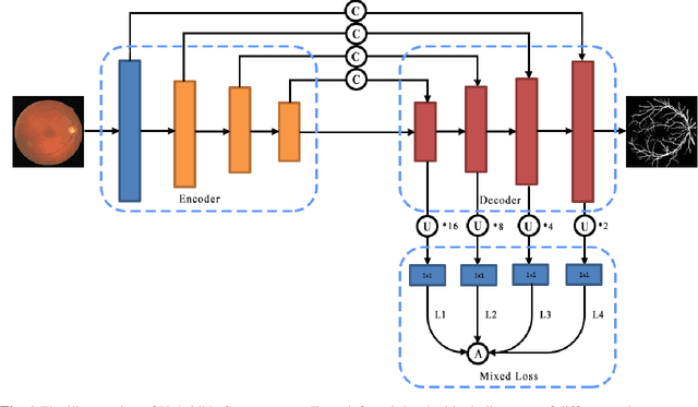 Figure 1 for HybridNetSeg: A Compact Hybrid Network for Retinal Vessel Segmentation