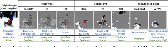 Figure 1 for A-FMI: Learning Attributions from Deep Networks via Feature Map Importance