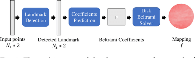 Figure 3 for Automatic Landmark Detection and Registration of Brain Cortical Surfaces via Quasi-Conformal Geometry and Convolutional Neural Networks