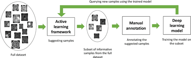 Figure 1 for Suggestive Annotation of Brain MR Images with Gradient-guided Sampling