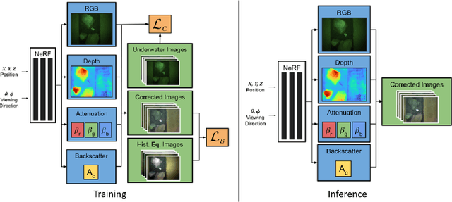 Figure 1 for WaterNeRF: Neural Radiance Fields for Underwater Scenes
