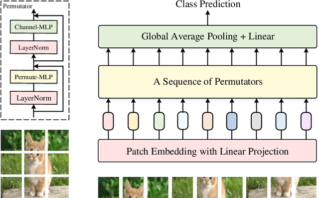 Figure 1 for Vision Permutator: A Permutable MLP-Like Architecture for Visual Recognition