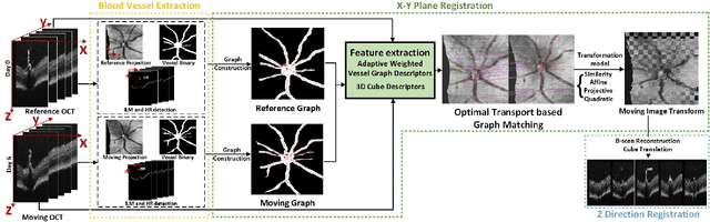 Figure 1 for Optimal Transport-based Graph Matching for 3D retinal OCT image registration