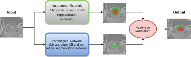Figure 1 for Automatic Myocardial Infarction Evaluation from Delayed-Enhancement Cardiac MRI using Deep Convolutional Networks