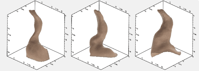 Figure 2 for An Average of the Human Ear Canal: Recovering Acoustical Properties via Shape Analysis