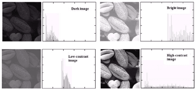 Figure 4 for Content Based Image Retrieval (CBIR) in Remote Clinical Diagnosis and Healthcare