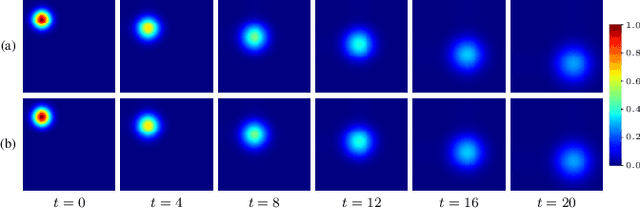 Figure 1 for Perfusion Imaging: A Data Assimilation Approach