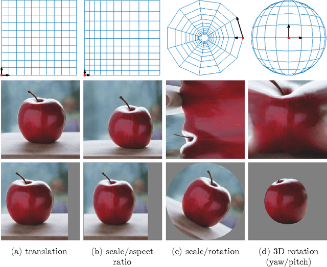 Figure 1 for Warped Convolutions: Efficient Invariance to Spatial Transformations