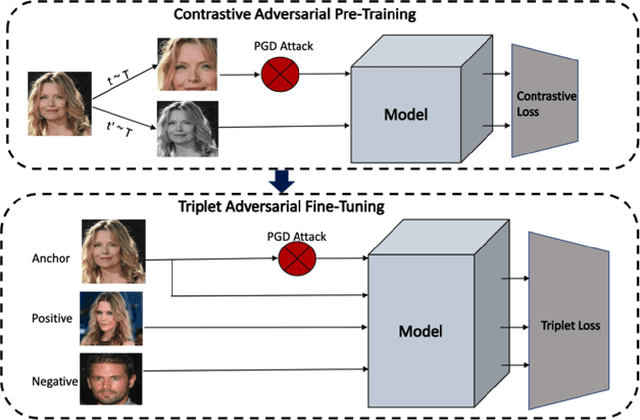 Figure 1 for Adversarial Training for Face Recognition Systems using Contrastive Adversarial Learning and Triplet Loss Fine-tuning