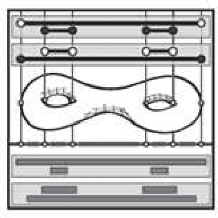 Figure 2 for Topologically sensitive metaheuristics