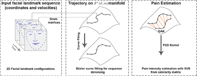 Figure 1 for Automatic Estimation of Self-Reported Pain by Interpretable Representations of Motion Dynamics