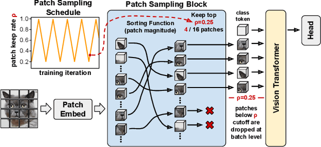Figure 3 for Accelerating Vision Transformer Training via a Patch Sampling Schedule