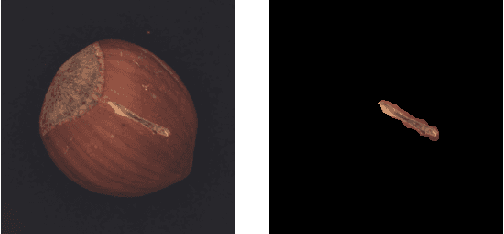 Figure 1 for PANDA -- Adapting Pretrained Features for Anomaly Detection