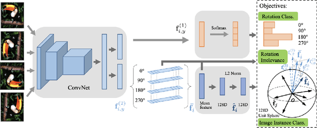 Figure 1 for Survey on Self-supervised Representation Learning Using Image Transformations