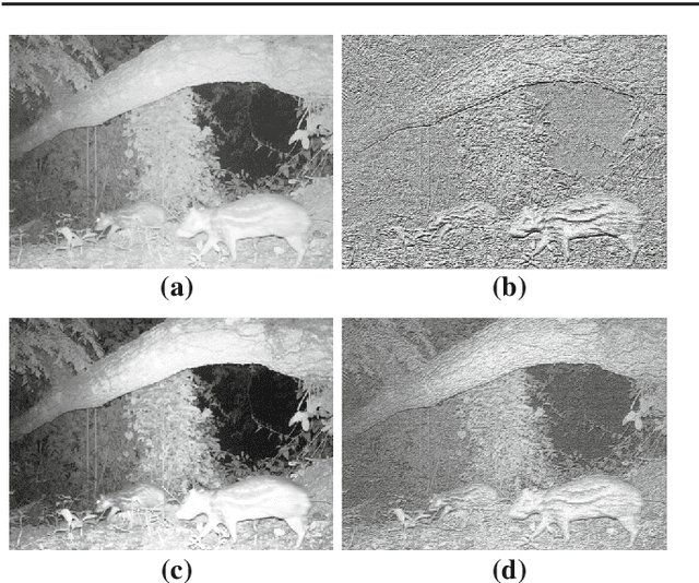 Figure 3 for Camera-trap images segmentation using multi-layer robust principal component analysis