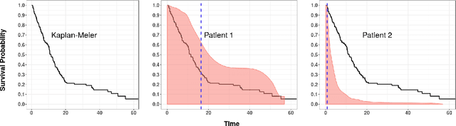 Figure 1 for Effective Ways to Build and Evaluate Individual Survival Distributions