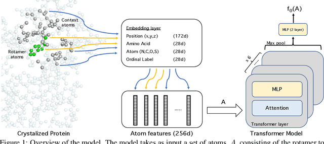 Figure 1 for Energy-based models for atomic-resolution protein conformations