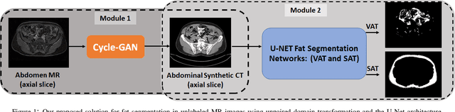 Figure 1 for Adipose Tissue Segmentation in Unlabeled Abdomen MRI using Cross Modality Domain Adaptation
