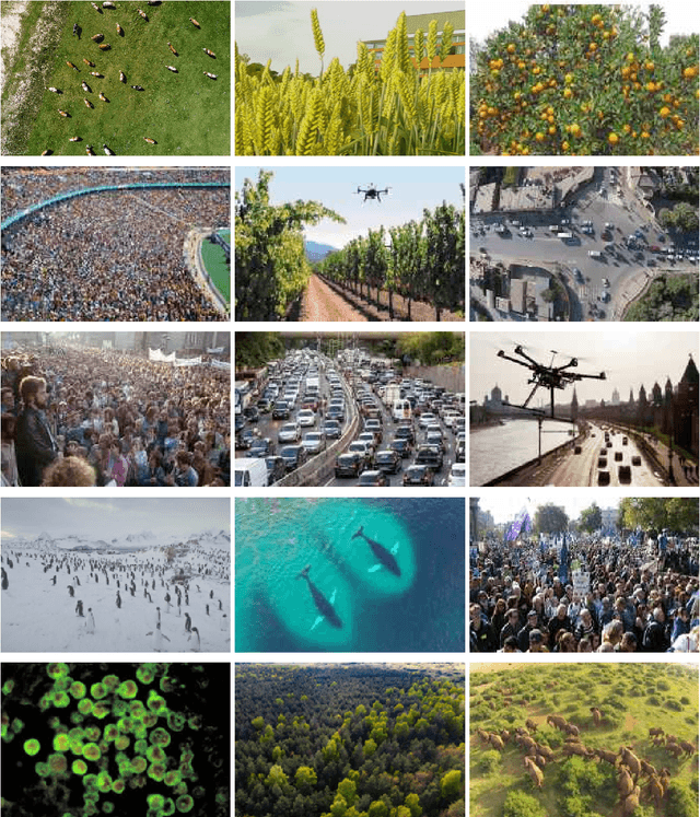 Figure 1 for Deep Learning Techniques for Visual Counting