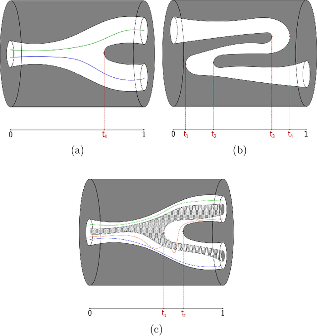 Figure 1 for The space of sections of a smooth function