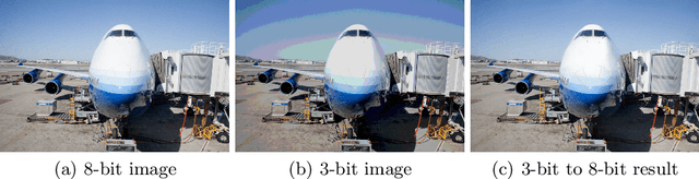 Figure 1 for BitNet: Learning-Based Bit-Depth Expansion