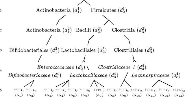 Figure 2 for The Phylogenetic LASSO and the Microbiome