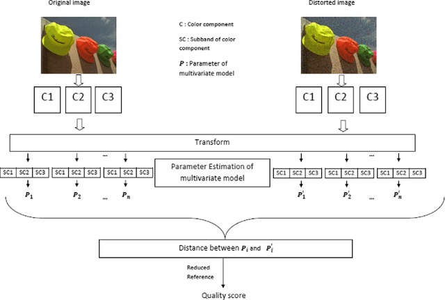 Figure 1 for A statistical reduced-reference method for color image quality assessment