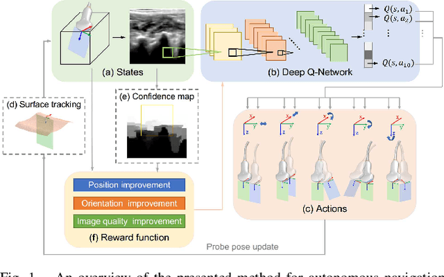 Figure 1 for Autonomous Navigation of an Ultrasound Probe Towards Standard Scan Planes with Deep Reinforcement Learning