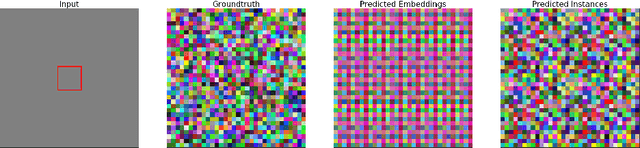 Figure 4 for How Shift Equivariance Impacts Metric Learning for Instance Segmentation
