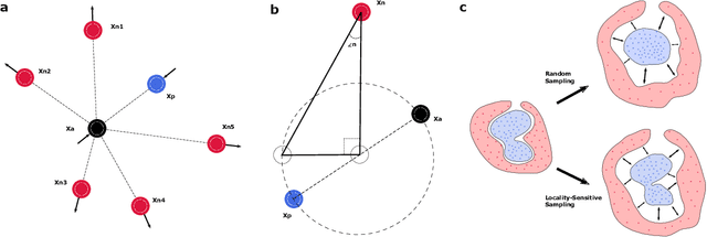 Figure 1 for Deep Metric Learning with Locality Sensitive Angular Loss for Self-Correcting Source Separation of Neural Spiking Signals