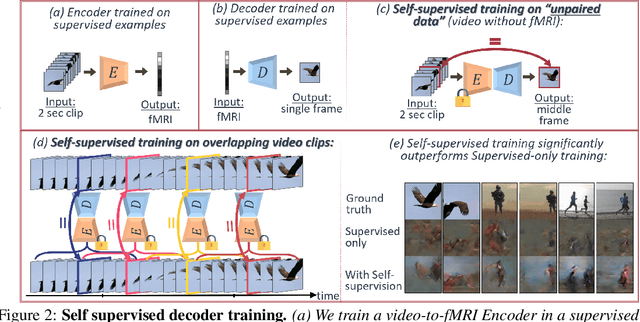Figure 2 for A Penny for Your  Thoughts: Self-Supervised Reconstruction of Natural Movies from Brain Activity