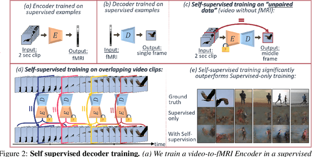 Figure 2 for A Penny for Your (visual) Thoughts: Self-Supervised Reconstruction of Natural Movies from Brain Activity
