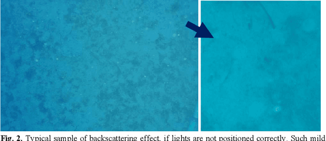 Figure 2 for Image-based underwater 3D reconstruction for Cultural Heritage: from image collection to 3D. Critical steps and considerations