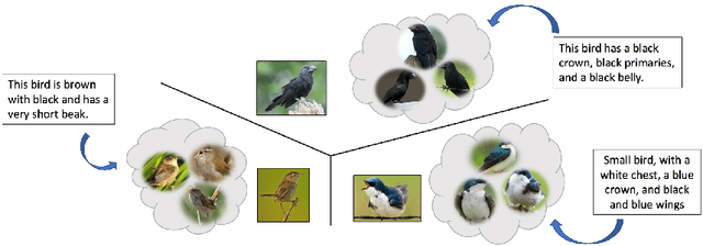 Figure 1 for Self Paced Adversarial Training for Multimodal Few-shot Learning