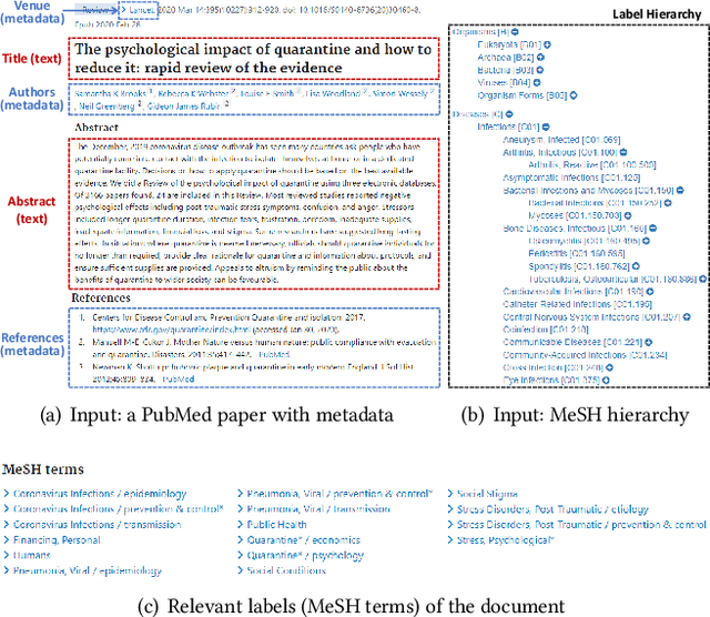 Figure 1 for MATCH: Metadata-Aware Text Classification in A Large Hierarchy