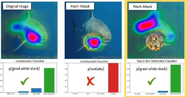Figure 1 for Vax-a-Net: Training-time Defence Against Adversarial Patch Attacks