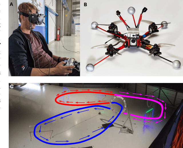 Figure 1 for Expertise Affects Drone Racing Performance