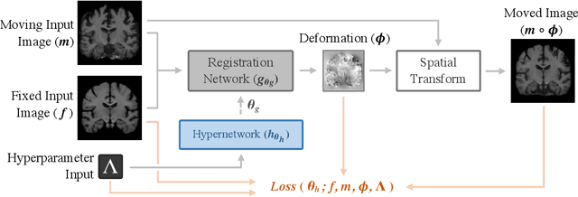 Figure 3 for HyperMorph: Amortized Hyperparameter Learning for Image Registration