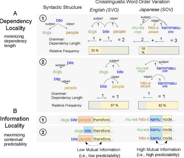 Figure 1 for Crosslinguistic word order variation reflects evolutionary pressures of dependency and information locality