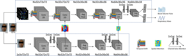 Figure 2 for Dual Attention Network for Heart Rate and Respiratory Rate Estimation