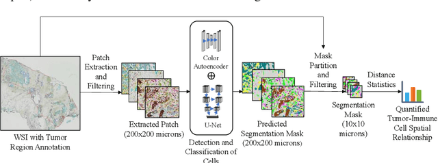 Figure 1 for A Novel Framework for Characterization of Tumor-Immune Spatial Relationships in Tumor Microenvironment