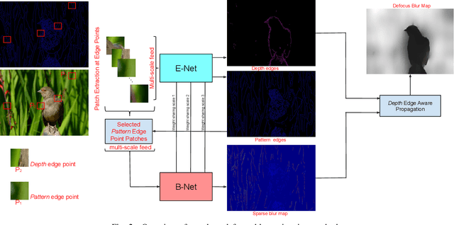 Figure 2 for Deep Multi-Scale Feature Learning for Defocus Blur Estimation